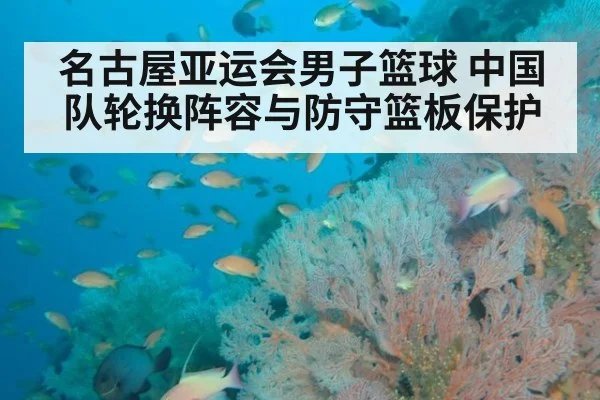 名古屋亚运会男子篮球 中国队轮换阵容与防守篮板保护